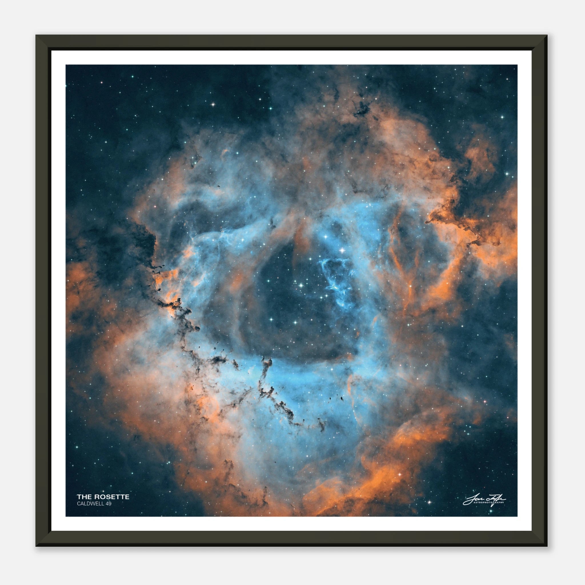 fff36be4-e68a-4c77-a38c-28830bf7fa69